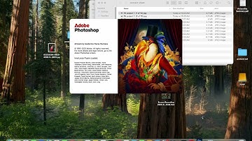 photo 125 wee4 contact sheet