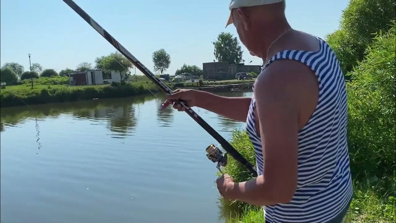 Пляж на луговой в лобне. Зелёный берег лобня рыбалка. Рыбалка луга. Рыбалка луговая. Лобня рыбаки.