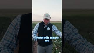More chemicals does NOT = MORE profits. Start watering better instead. #agtech #bestfarming #farming