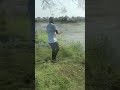 Fishing in indore, Snakehead