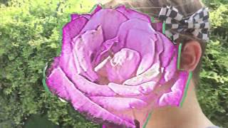 R A B B I T S  I N  C A T S .::. (13 )