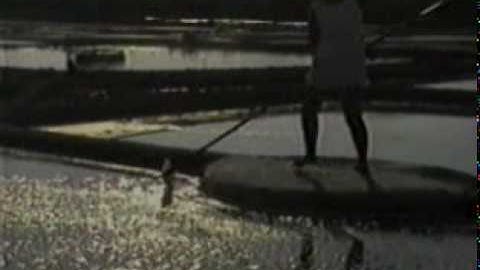 What is Celtic Sea Salt®?