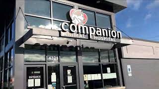 Choose Companion Animal Hospital & love where you work!