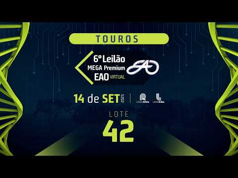 LOTE 42