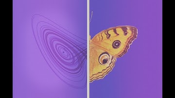Chaos Theory: The Lorenz Attractor