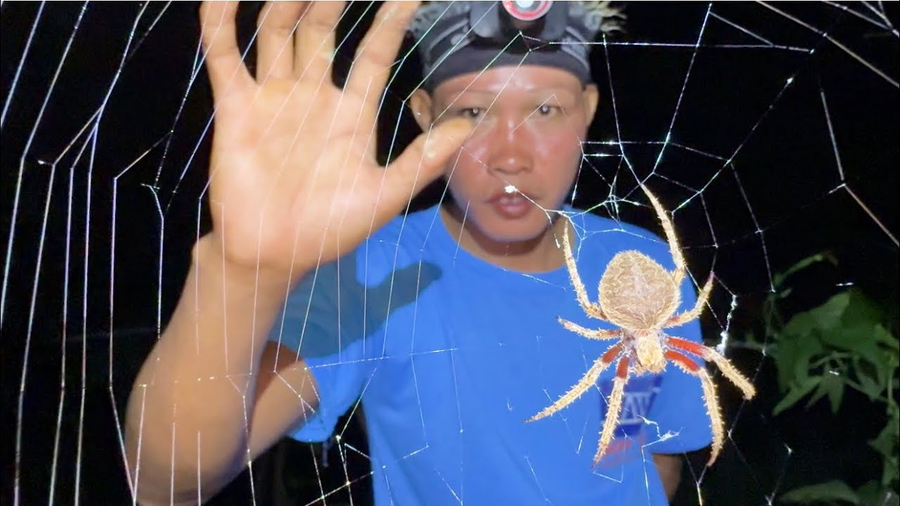 GRABE ANG LAKI NG GAGAMBA SA SPOT NATO😱