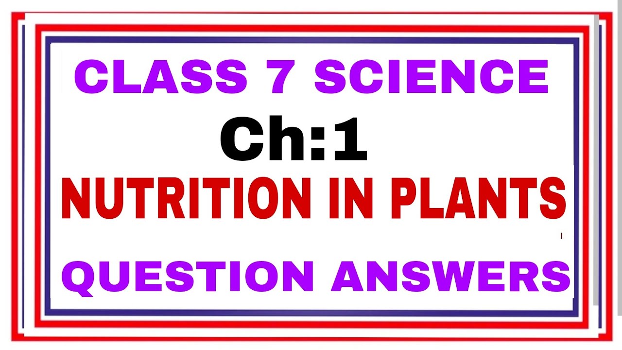 Class 7th Science | Chapter 1 Nutrition In Plants Question Answers ...