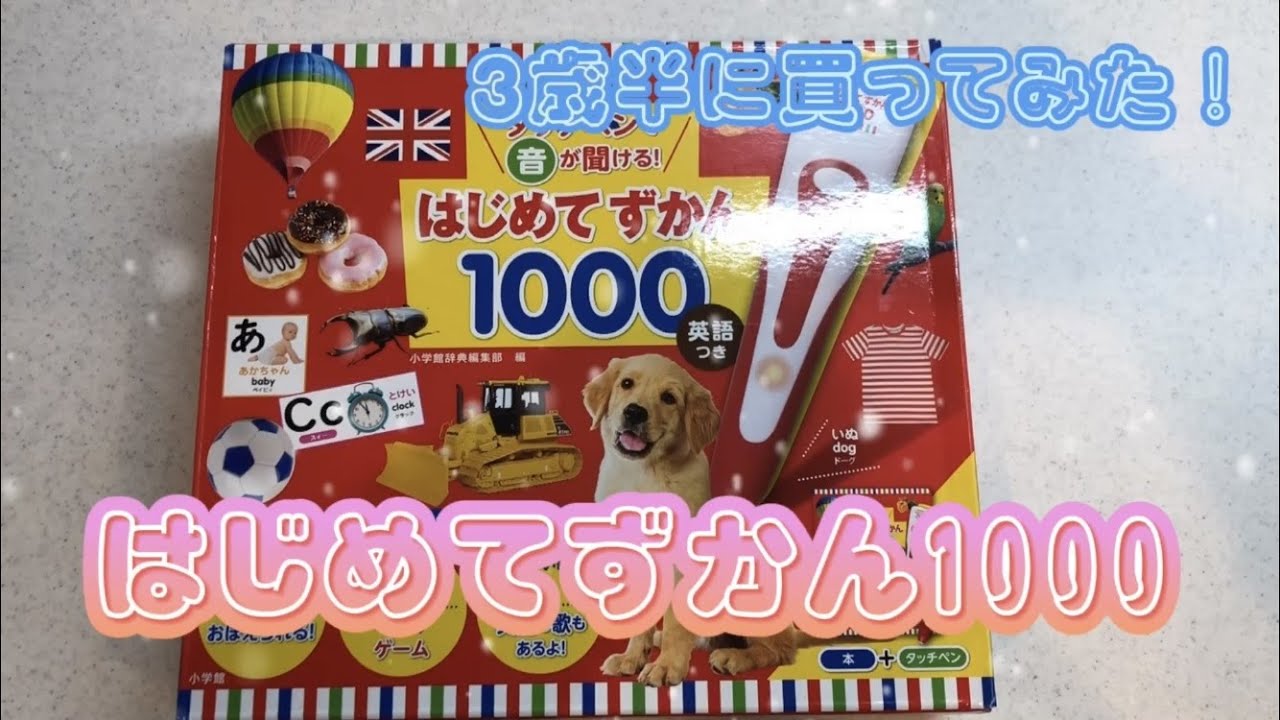 はじめてずかん1000