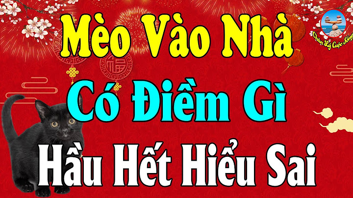 Mèo nhảy lên bàn thờ là điềm gì năm 2024