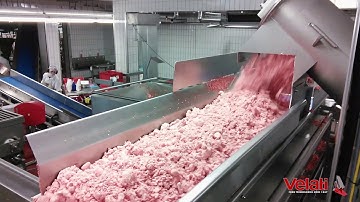 Salami Processing Line with Bowl Chopper - Velati Srl Italy