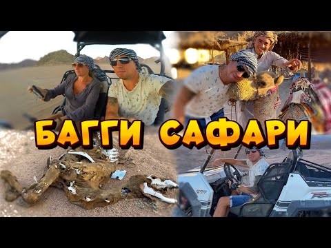 Сафари на БАГГИ по Пустыне! ЛУЧШИЕ Экскурсии в Шарм Эль Шейхе. Отдых в Египте