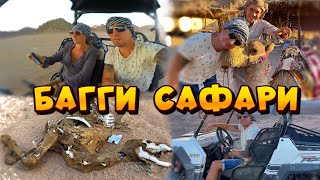 Сафари на БАГГИ по Пустыне! ЛУЧШИЕ Экскурсии в Шарм Эль Шейхе. Отдых в Египте