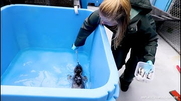 National Zoo Keeper Week - Meet our Vet Assistant