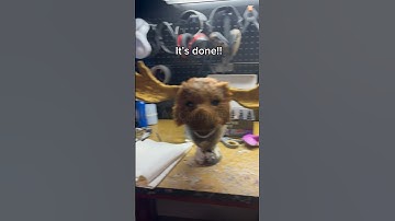 Pt.2 of making Perrine’s mask from Yaelokre!! #yaelokre #moose #animalmask #masks #therianmask