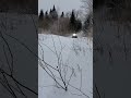 Ski doo 900turboR ripping #thatskidoofeeling