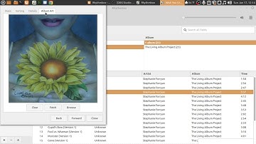 Rhythmbox A Standard Music Player