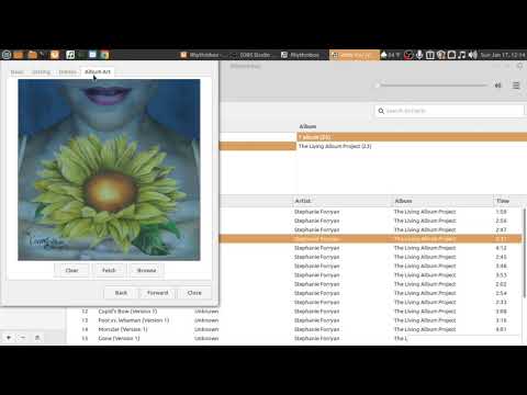 Rhythmbox A Standard Music Player