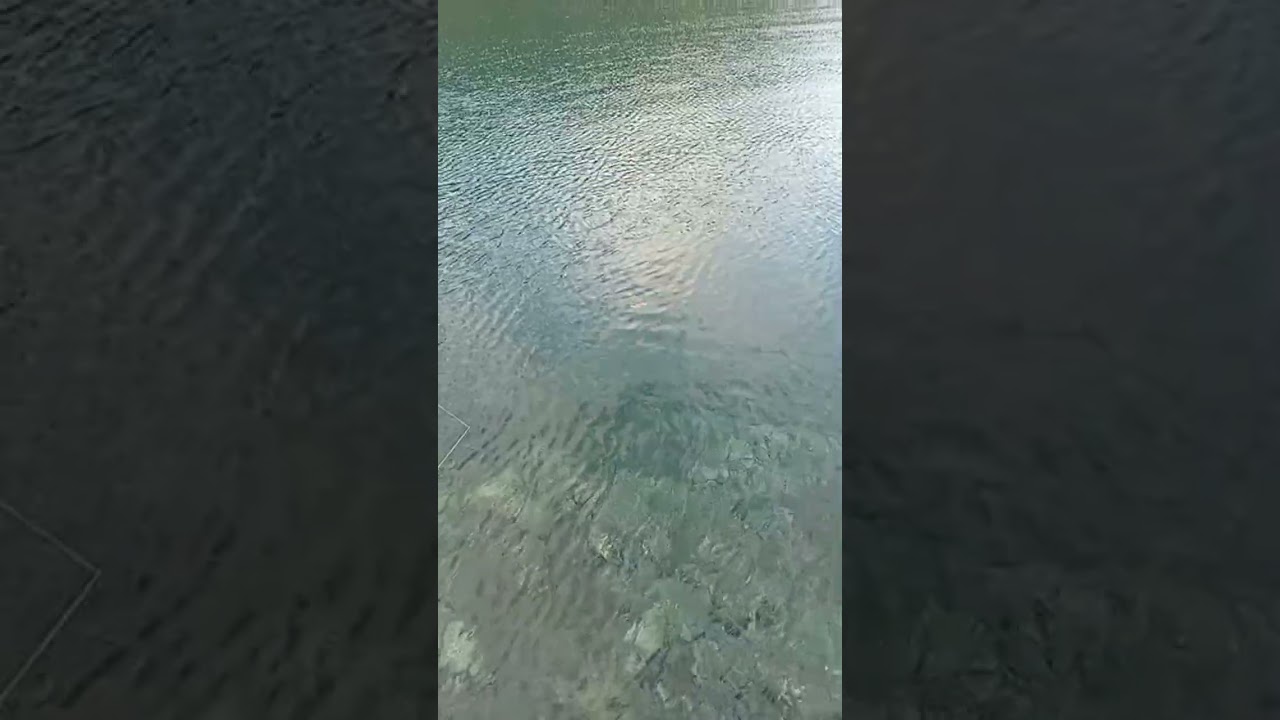 πάμε βόλτα για ψάρεμα καλημέρα