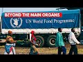 Beyond the six main organs of the United Nations