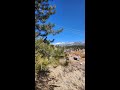 Debbie Jacobs presents 267 Ward Street Bailey, CO | ColdwellBankerHomes.com