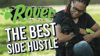 How TO MAKE $5000 a month with Rover Pet Sitting App  // Best Side Hustle