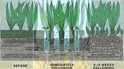 Two Minute Tips - What is Aeration