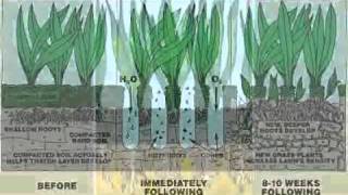 Two Minute Tips - What is Aeration