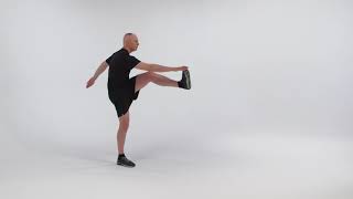 Conditioning Drill 3 Exercise 4 - Front Kick Alternate Toe Touch