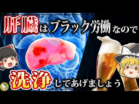 【ゆっくり解説】肝臓に気をつかった食事、心がけてますか？【沈黙の臓器の危険性】