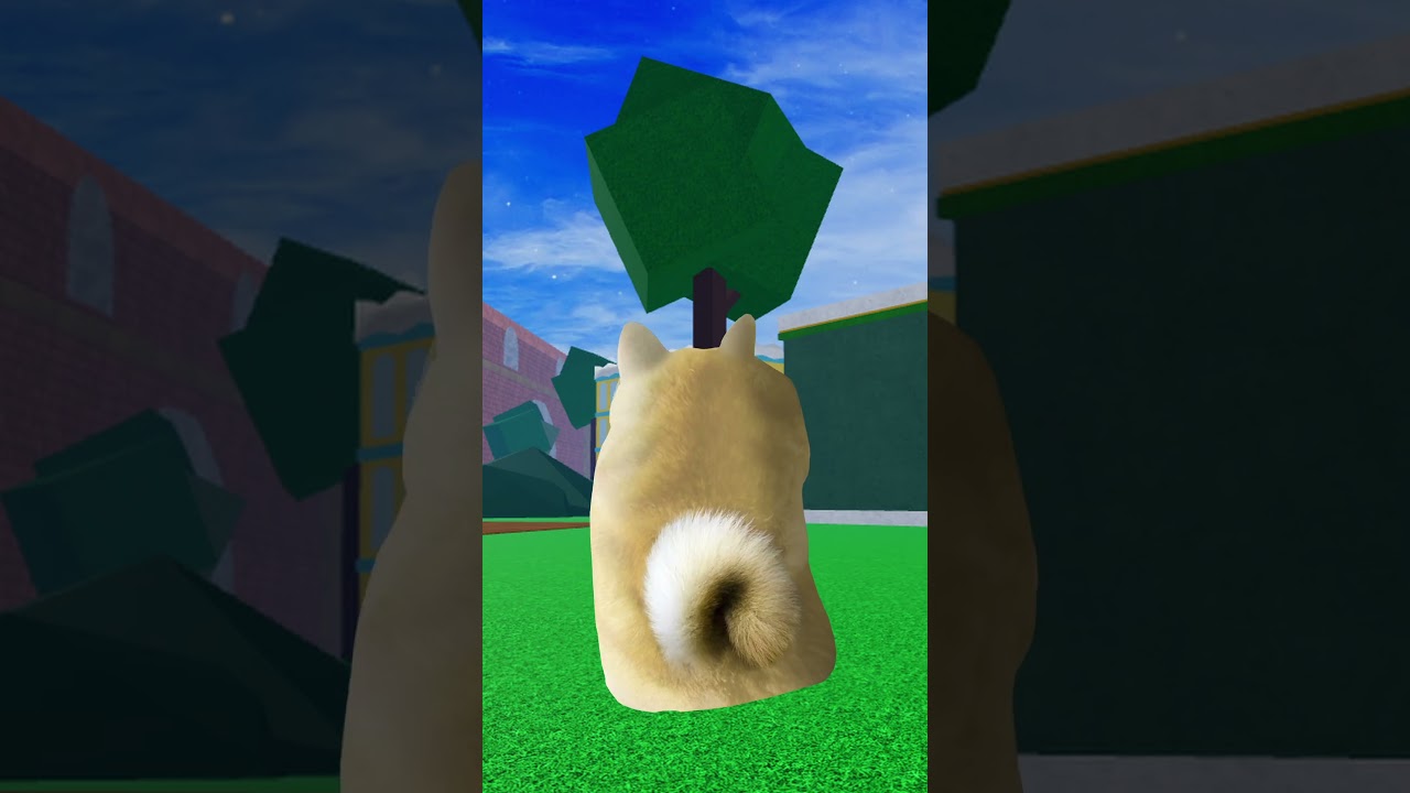 DOGE FOUND OUT ABOUT REWORK😲