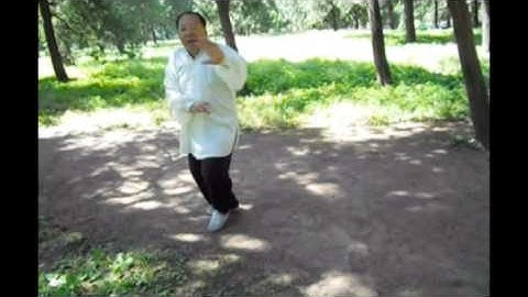 Liang BaGuaZhang Fixed 8 Palms Breakdown: 3rd Palm