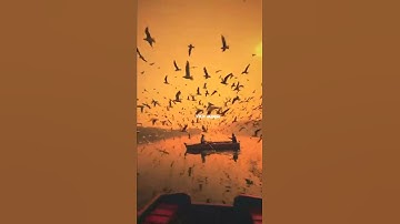 Thumbnail of Excuses Aesthetic Status 🔥 | Excuses AP Dhillon ⚡ | Excuses Remix | #shorts #shortvideo #aesthetic