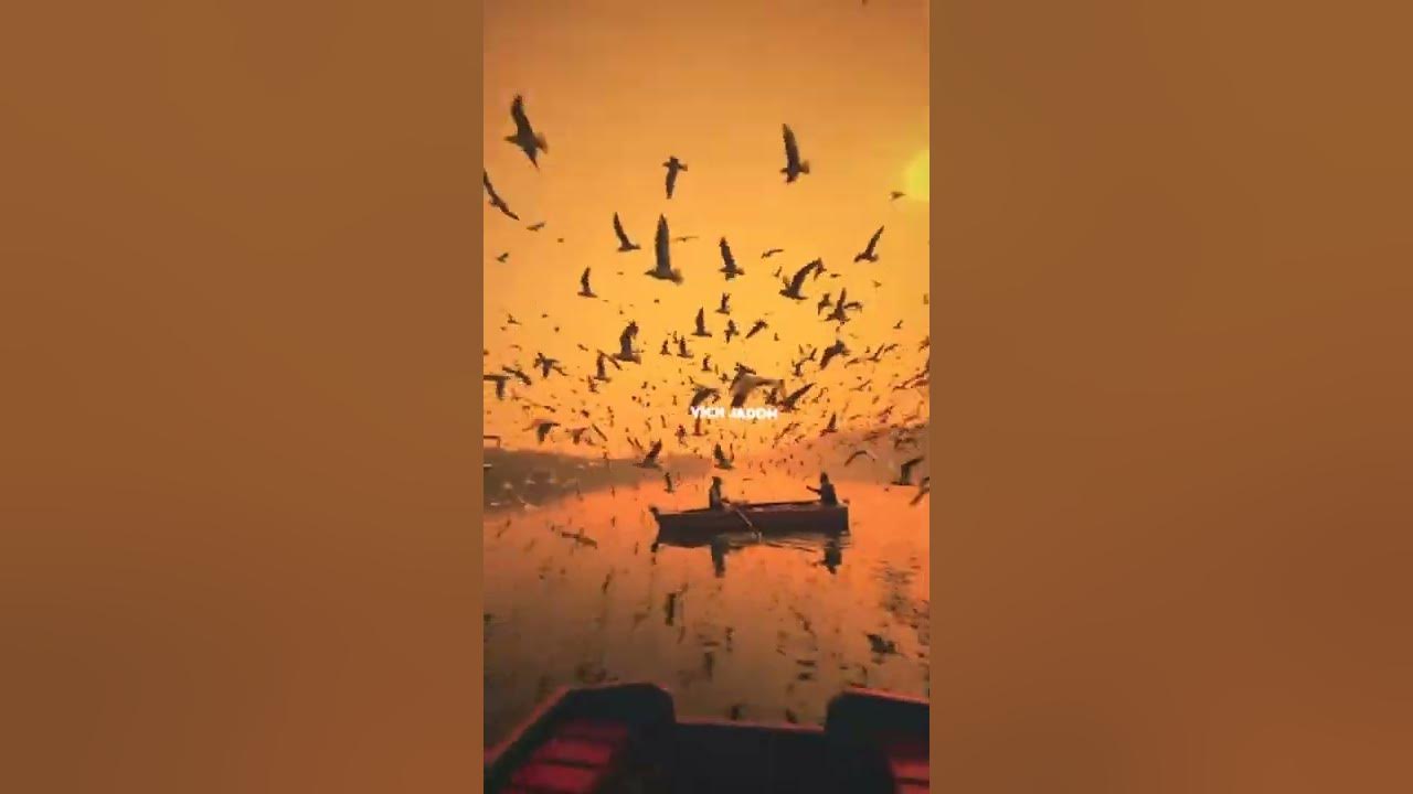 Excuses Aesthetic Status 🔥 | Excuses AP Dhillon ⚡ | Excuses Remix | #shorts #shortvideo #aesthetic