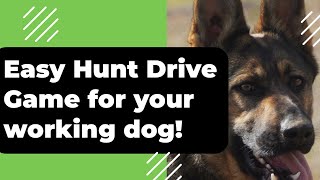 How to use your dogs hunt drive?!  Fun game for your German Shepherd that loves the ball!