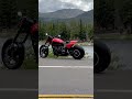 Harley Davidson Echo Lake Colorado #shorts #viralshorts #harleydavidson  #roadking