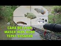 CARA MUDAH BELAJAR MASER IKAN AGAR SELALU TEPAT SASARAN MENGUNAKAN TELESKOP . NEMBAK IKAN