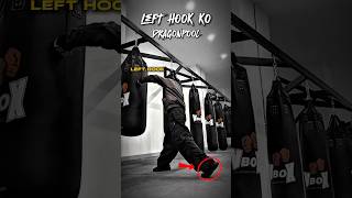 Left hook ko #tutorial #youtubeshorts #ytshorts #usa #russia #mma #shorts #yt #shortvideo #sports