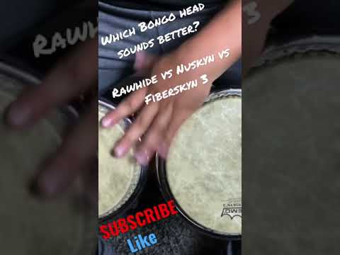 Video: Aus welcher Bongo-Trommel?