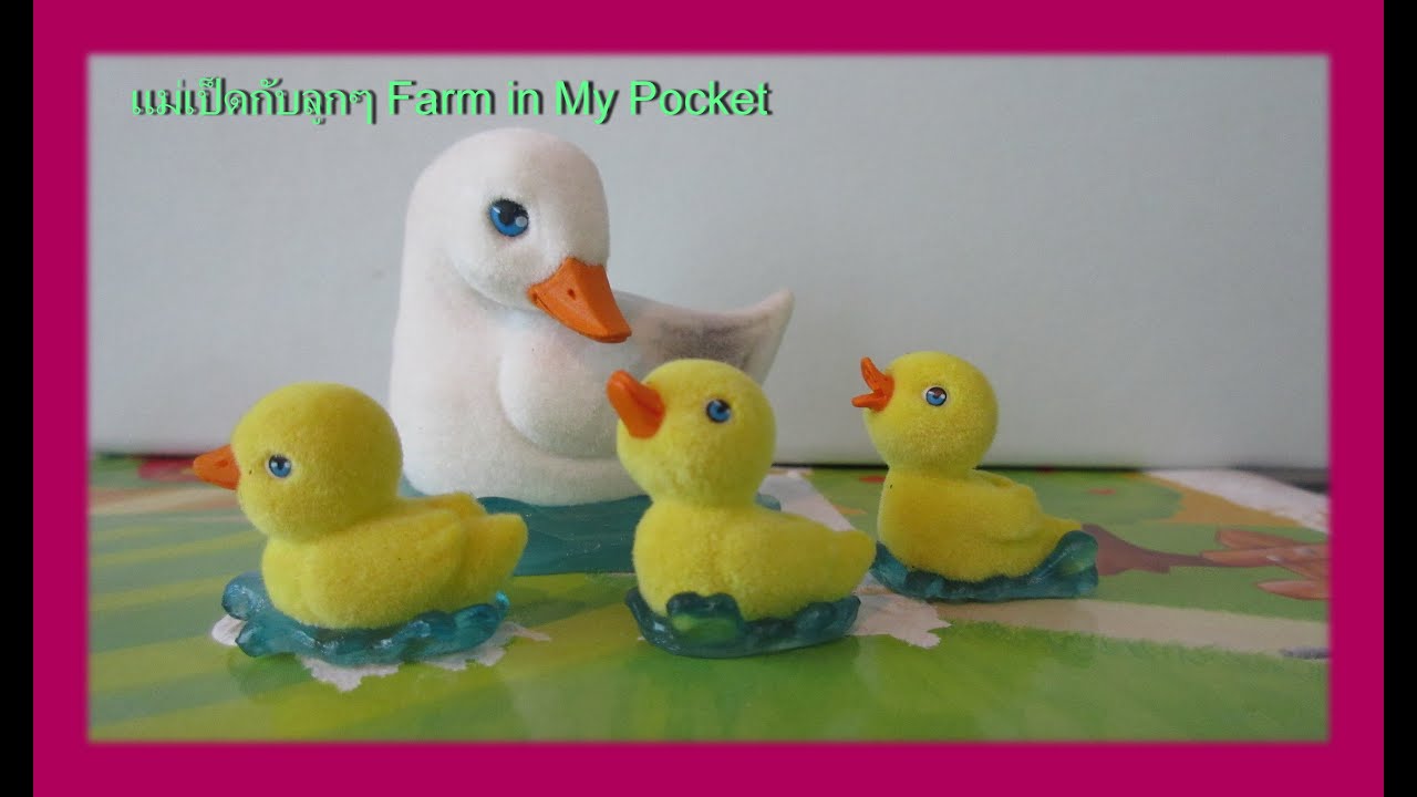ครอบครัวเป็ดเหลืองน้อย Farm in My Pocket Review YouTube