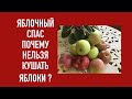 Яблочный Спас !!!ПОЧЕМУ НЕЛЬЗЯ ЕСТЬ ЯБЛОКИ ДО СПАСА ?