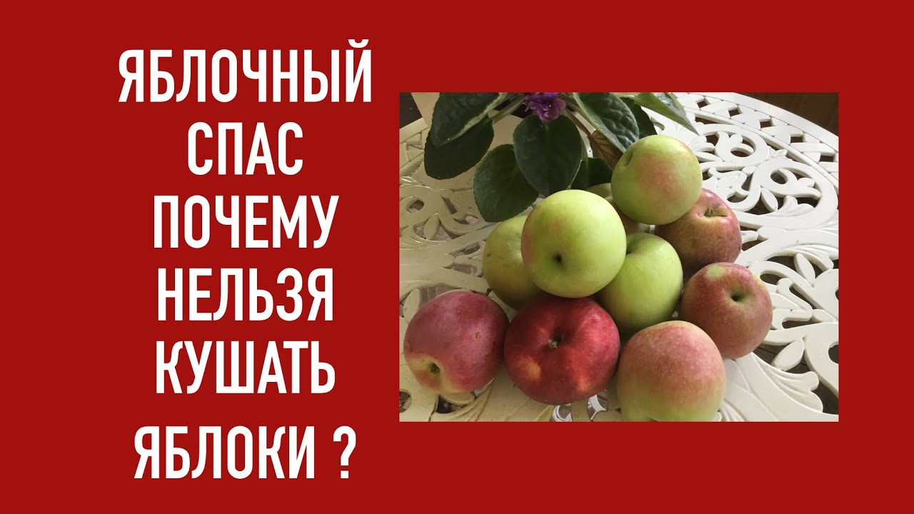 Спастись почему а. Почему нельзя есть яблоки до яблочного Спаса. Яблоко до Преображения. Почему не едят яблоки до яблочного Спаса. Почему нельзя женщинам есть яблоки до яблочного Спаса.