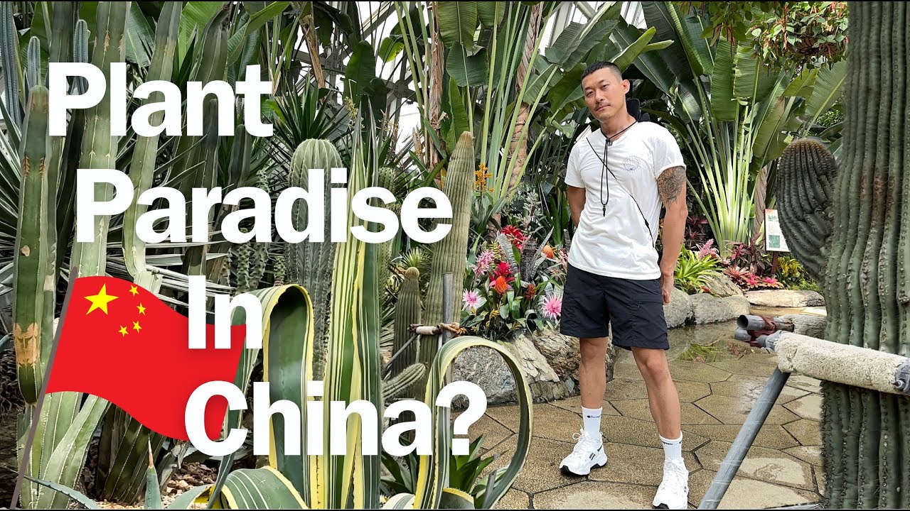 Chenshan Botanical Garden Is Among Be The BEST In The World | Inspiring Styling & Landscaping