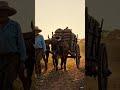 Na Fazenda Com Carro de Boi
