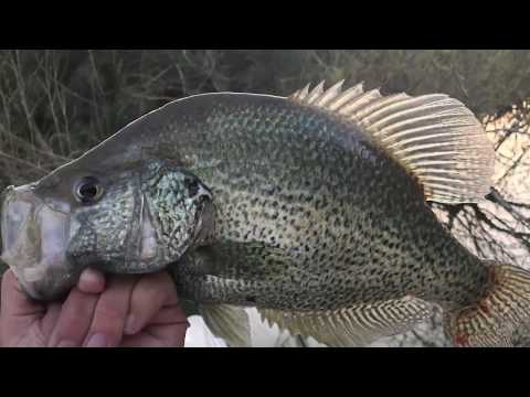 After the catch!