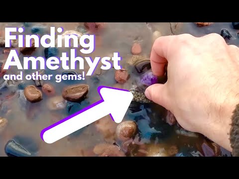 Finding AMETHYST, AGATES, and FOSSILS | Rockhounding a Wisconsin Beach