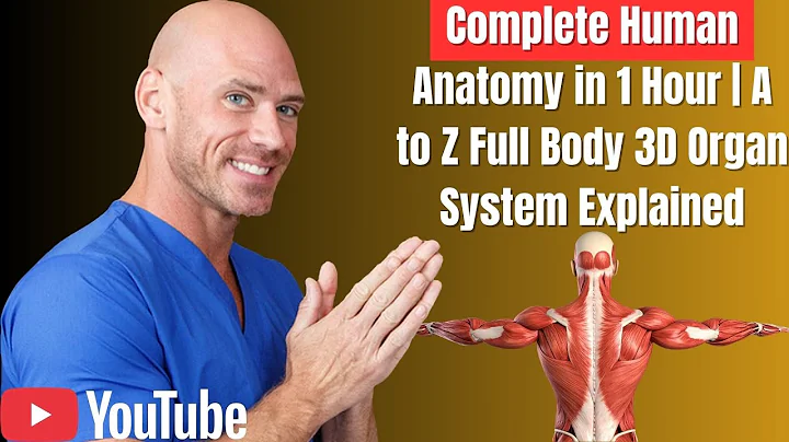 Complete Human Anatomy in 1 Hour | A to Z Full Body 3D Organ System Explained