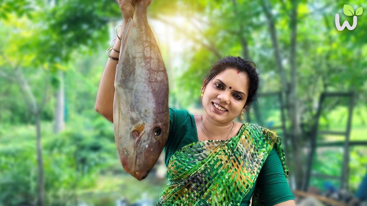 LEATHER JACKET FISH |  Grilled Udupuri Fish |  Udupi fish burned |  traditional life