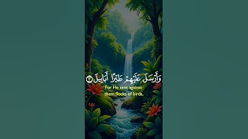 قرآن كريم راحة نفسية وقلبية استمع وانشر أجرلي ولكم