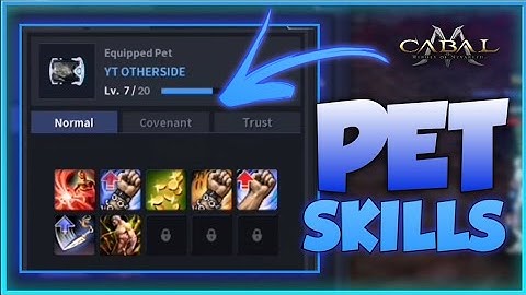 Cabal Mobile PH | Pet Training Skills | Easy Tutorial (Tagalog)