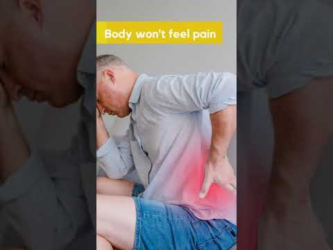 4 Documented Effects of Vena CBD Gummies: Chronic Pain & Sleep Aid Reviews